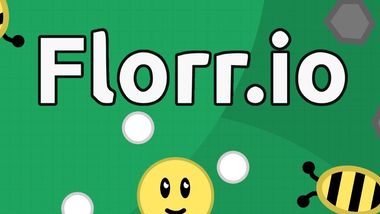 florr