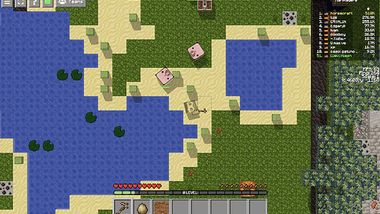 mine_craft